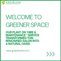We offer a complete "Plants on Hire & Maintenance" service. This graphic introduces our transformation of a renowned salon into a natural oasis, welcoming clients to a greener space.