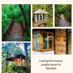 A glimpse of our retreat accommodation in Nainital. We choose lush, green luxury jungle resorts to ensure you can relax and renew in total comfort and serenity.