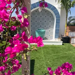 The vibrant pink of a bougainvillea vine beautifully frames the blue Moroccan fountain. This composition of color and form highlights how planting can be used to enhance and soften architectural features.