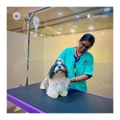 A happy pet is a healthy pet. Here, one of our experienced veterinarians performs a routine wellness check on a smiling Shih Tzu. Our fear-free approach ensures that every consultation, from puppy checkups to senior pet care, is a calm and positive experience for your furry family member.