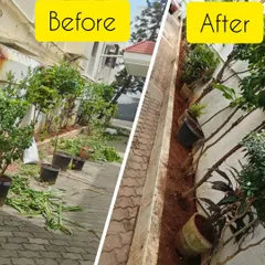 See the difference a day's work can make. On the left is an overgrown and messy garden path in Kilpauk. On the right is the same space after our team cleared the weeds, pruned the existing plants, and neatly arranged the pots.