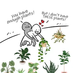 "You have enough plants!" "But I don't have THESE plants!" The eternal struggle of a plant lover. There's always room for one more.