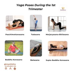 For the 1st trimester, I recommend gentle yoga poses like Paschimottanasana and Marjaryasana-Bitilasana. These movements and breath-work help manage early pregnancy symptoms like nausea and anxiety.