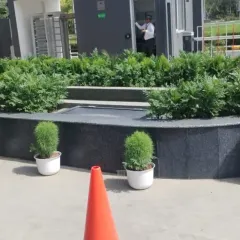 A formal and clean entrance design for a commercial property, featuring a curved planter with dense green shrubs and accented by small, spherical topiary plants in white pots. This creates a professional first impression.