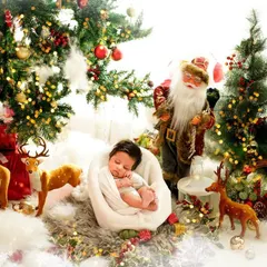 A truly magical Christmas scene. This newborn sleeps soundly while Santa and his reindeer watch over, creating a dreamy and unforgettable holiday portrait.