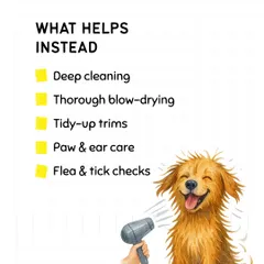 So what helps keep your dog healthy, especially in the monsoon? Deep cleaning baths, thorough blow-drying, tidy-up trims, paw and ear care, and regular flea and tick checks. A clean dog is a healthy dog.
