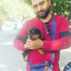 This happy client is taking home a healthy and active Rottweiler puppy. I make sure every puppy is ready for its new life as a beloved family member.