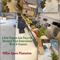 I bring nature indoors to improve the work environment. This collage shows an office space plantation project where I used a variety of low-maintenance indoor plants like ferns and aglaonema in stylish pots to decorate desks and common areas.