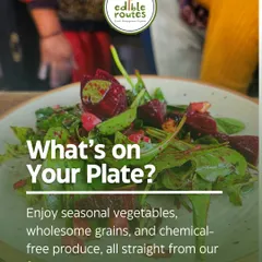 This is what's on my plate: a vibrant salad made with seasonal vegetables, wholesome grains, and chemical-free produce, all harvested fresh from my farm. It’s a true taste of clean, farm-to-table eating.