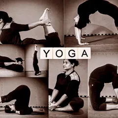 This is yoga as a discipline. This collage showcases some of the foundational and advanced asanas we work on, including Dhanurasana (Bow Pose), Ustrasana (Camel Pose), and Halasana (Plough Pose), to build comprehensive strength and flexibility.