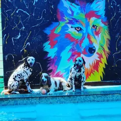We love having the whole squad over! Here are Joy, Olive, and Sophie posing like superstars in front of our custom graffiti wall after a refreshing swim. Our space welcomes dogs of all breeds for playdates and parties.