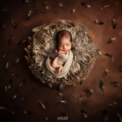Another angle of this feather nest setup, showing the beautiful textures and rich, earthy tones that make these fine art newborn portraits so special.