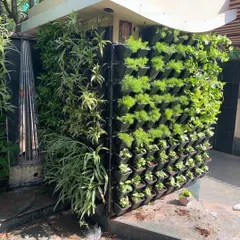 This living wall was designed to wrap around an outdoor pillar, turning a structural element into a column of greenery. It's a great way to integrate plants into your home's architecture.