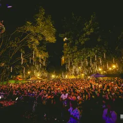 An expansive view of the thousands of attendees at the New Year's Eve party. Handling large crowds and maintaining a high-energy atmosphere throughout the night is a core part of my service.