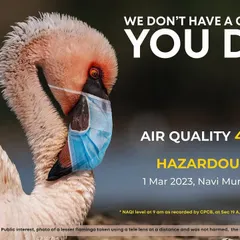 This image is a direct and urgent message about the environmental crisis we face. I created this composite of a lesser flamingo wearing a mask when the air quality in Navi Mumbai reached hazardous levels. It's a stark visual question: if we need masks to breathe, what about the wildlife that has no choice?