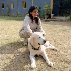 A quiet moment with a gentle giant. We ensure every dog, regardless of size or breed, receives the individual attention and affection they need to feel at home.