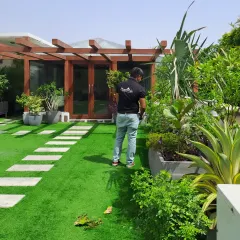 A site visit is a crucial first step. Here, a team member inspects a client's terrace garden in Vasant Vihar to assess its health and plan for our regular maintenance service, ensuring the space remains beautiful year-round.