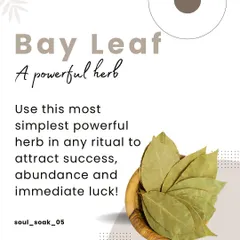 The bay leaf is one of the most accessible and powerful herbs for spiritual work. I use it in rituals to help attract success, abundance, and luck by clearing obstacles from your path.