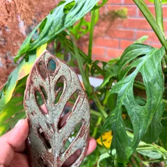 From raw clay to refined form, this is a showcase of a student's beautiful handmade pieces after her 15-day hand-building journey.