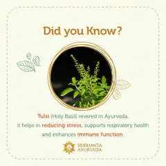 This graphic explains the power of Tulsi, or Holy Basil. Revered in Ayurveda, this herb helps in reducing stress, supporting respiratory health, and enhancing the body's immune function.