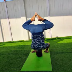 A variation of the headstand, or Sirsasana, with legs in a bound angle pose. This opens the hips while you are inverted.