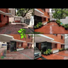 A before and after look at a driveway makeover. By adding a variety of potted plants along the wall, I was able to make the entrance feel much more green and inviting.