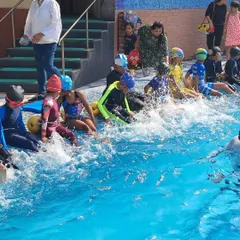 A typical group class for kids is full of energy and learning. Here, young swimmers practice their kicking techniques, an essential foundation for building strength and propulsion in the water.