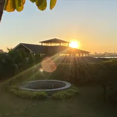 The sun's first rays catch the roof of our yoga hall, a promise of the light and energy that each new day brings. We believe that starting the day with nature is the first step to healing.