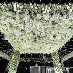 A close-up of the ceiling of our baby's breath mandap. The sheer volume of delicate white flowers creates a cloud-like effect, proving that sometimes, more is more.