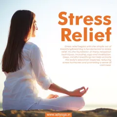 Stress relief begins with the simple act of breathing. Meditation and focused breathwork are fundamental to calming the nervous system and reducing stress hormones.