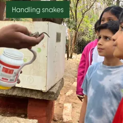 Children watch with focused curiosity as a wildlife expert demonstrates how to handle a non-venomous snake, demystifying these often-misunderstood creatures and replacing fear with fascination.
