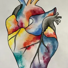 A watercolor painting of an anatomical heart. I used a spectrum of colors to represent the complex emotions and vitality that the heart symbolizes.