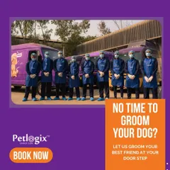 No time to go to the groomer? Let us bring the grooming to you. Our professional team arrives at your doorstep, ready to pamper your best friend.