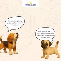 Some dogs bark at everything, while others have perfected the art of looking cute to get treats. This comic captures the hilarious contrast between different dog personalities.