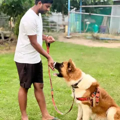 This is a calm moment during a session with a large German Shepherd. I work with all temperaments, including dogs with aggression issues, always focusing on building trust and understanding the root cause of the behavior to create a safe and positive outcome.