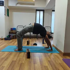 Progress in Chakrasana is measured by the feeling of openness, not just the height of the arch. This student demonstrates great shoulder and thoracic spine mobility.