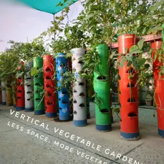 Another angle showing how vertical gardening maximizes your growing potential. You can have a variety of vegetable plants thriving together in a neat and organized setup.