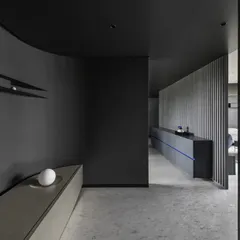 A wider view of the entrance foyer, showing the transition into the main living area and the interplay of curved forms.