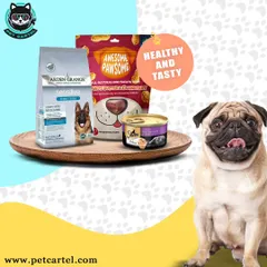 Healthy and tasty is our motto. Here's a sample of our premium food selection, featuring sensitive-stomach formulas from Arden Grange, all-natural treats, and gourmet wet food from Sheba.