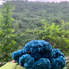 I love taking my creations outdoors. The natural light really shows off the rich texture of the yarn on this handmade octopus.
