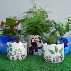 Add a touch of personality and art to your garden with our collection of hand-painted pots. Featuring whimsical designs like toucans and leafy patterns, these planters are a joyful home for your favorite plants.