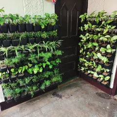 Another view of the corner vertical garden, showing how it can transform a plain wall into a vibrant feature.