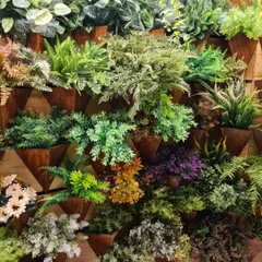 A display of the different types of artificial plants and panels we offer. We can create custom arrangements using a wide variety of faux foliage to match the specific aesthetic you want for your space.