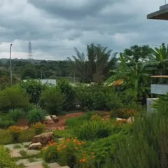 This is a view of the eco-sensitive landscape I designed at Kaggalipura, overlooking the Bannerghatta forest range. The design focuses on creating a rich habitat using native plant landscaping to attract local wildlife, turning the entire site into a sanctuary.