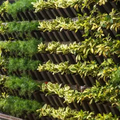 Green walls are perfect for small living spaces. This one uses a mix of foliage, including some with variegated leaves, to add visual interest and elegance while freshening the air.