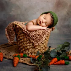 We created a cute little carrot patch theme for this baby boy's portraits. Using props like these felted carrots adds a touch of whimsy to the session.