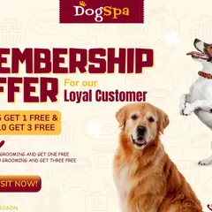 I love my loyal customers. That's why I offer a membership program where you can get free grooming sessions when you buy a package of five or ten.