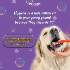Hygiene and love, delivered. We bring professional grooming services right to your doorstep, including important services like dental brushing for your pet's health.