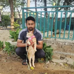 One of our staff members holding a cat guest. We are experienced in handling cats and giving them the gentle, patient care they need to feel secure.