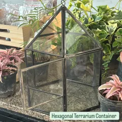 The hexagonal terrarium container offers a modern and stylish look. The door makes it easy to arrange and care for the plants inside. It’s a popular choice for closed terrariums.